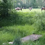Séjour à la ferme Stary Mlyn Wilczkowice