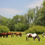 Séjour à la ferme Stary Mlyn Wilczkowice *