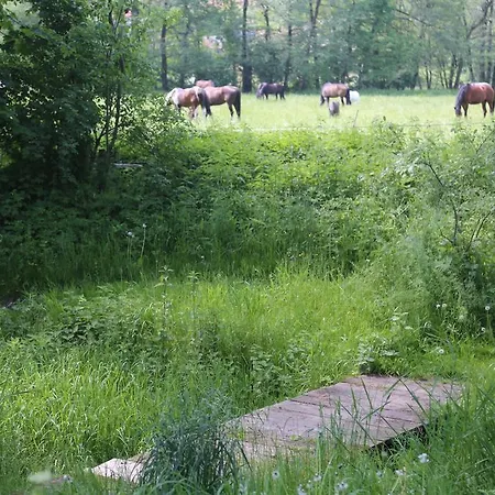 Bauernhof Stary Mlyn Wilczkowice