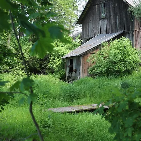 Stary Mlyn Wilczkowice Фермерский дом