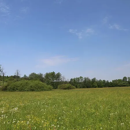 Stary Mlyn Wilczkowice * Michalowice (Lesser Poland)