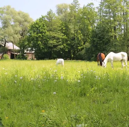Bauernhof Stary Mlyn Wilczkowice